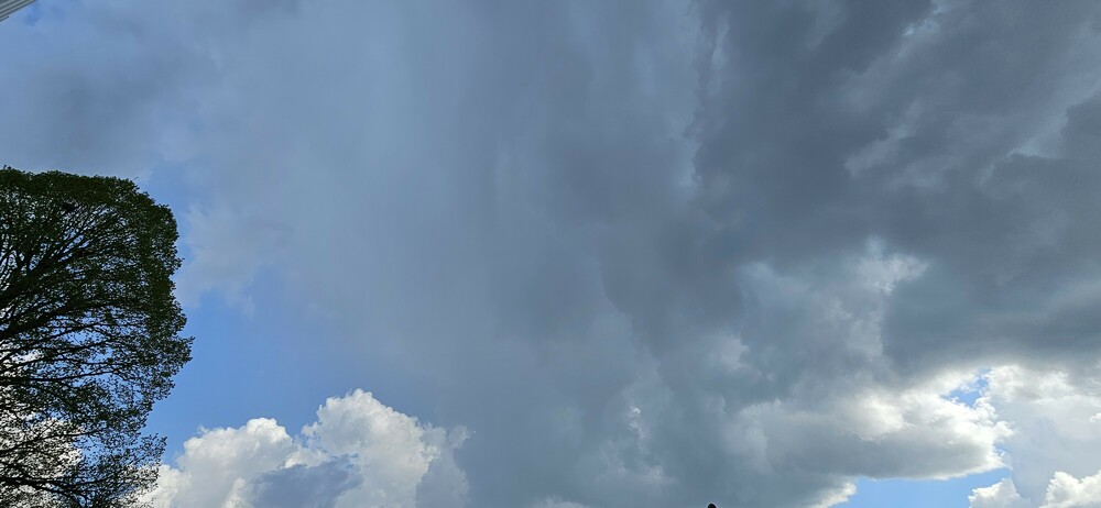 20250430_155817.jpg