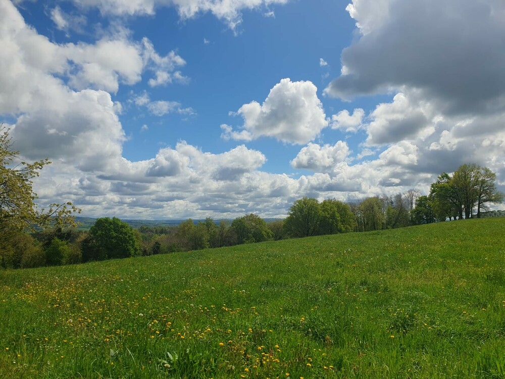 IMG-20250416-WA0007.thumb.jpg.ae14da1902a30f7f59bbce3fa49c718f.jpg