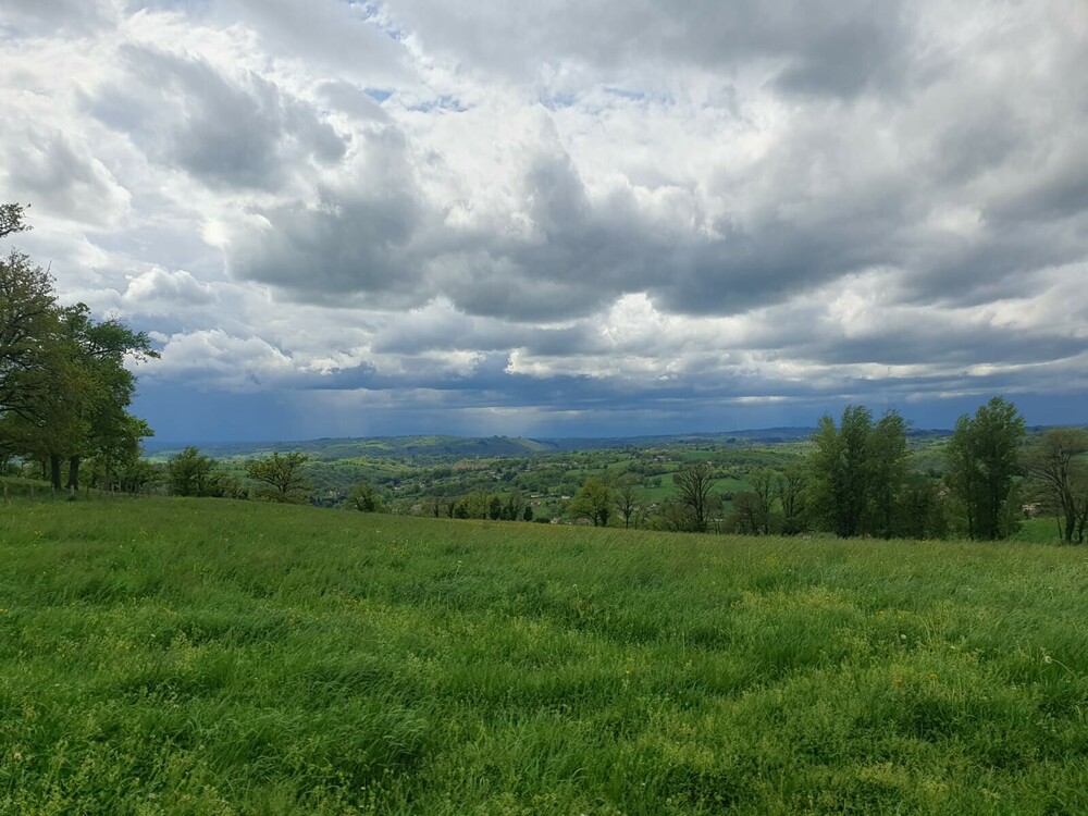 IMG-20250419-WA0000.thumb.jpg.d7823f759f89e62d0219bb813df81be4.jpg