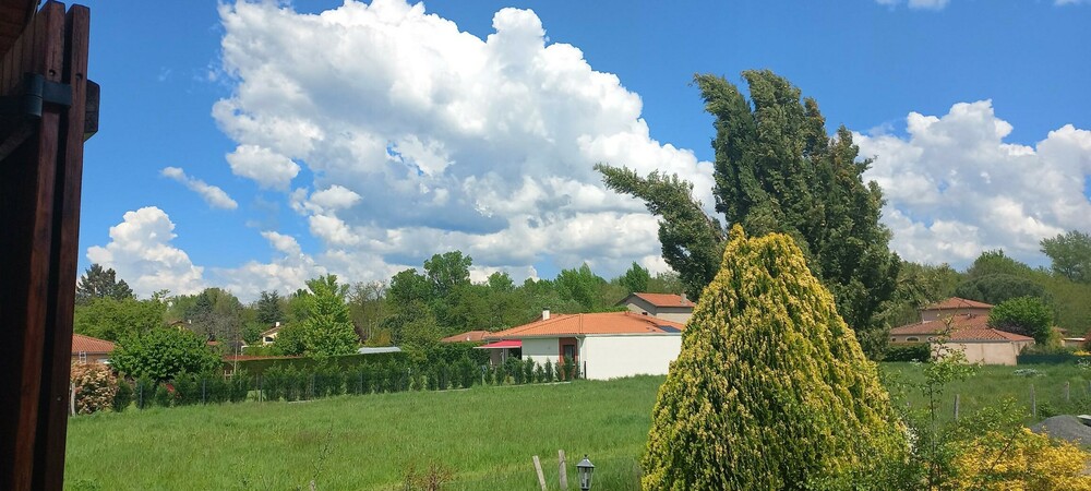 SJSR 29-04-2025.jpg