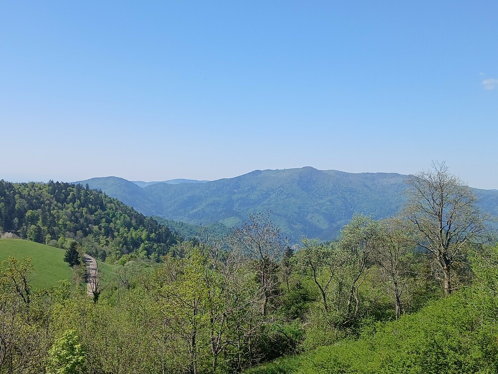 20250501_112631.jpg