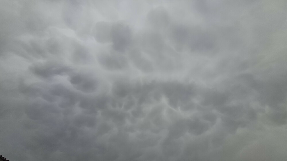 20250502_192040.jpg