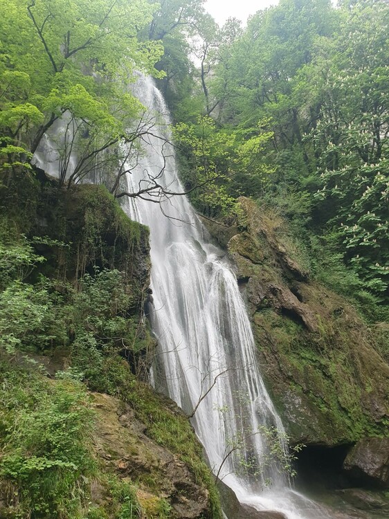 IMG-20250501-WA0019.thumb.jpg.215e7802891903d102b280aea1af7843.jpg