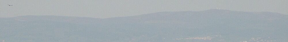 IMGP3554_crop.thumb.JPG.b172ee91f8d3217849bb2e49b4847f39.JPG