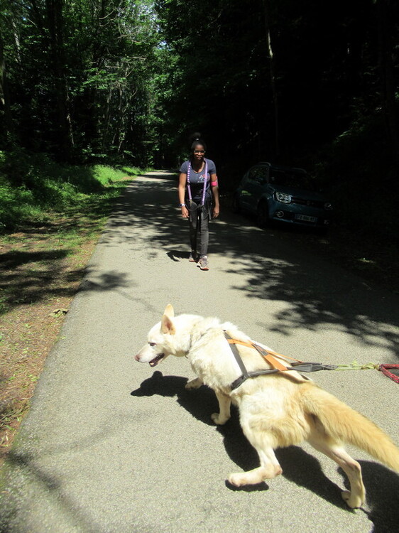 IMG_1450.thumb.JPG.4d56b7ba6445a9bcc37f1a6ffddaacf8.JPG