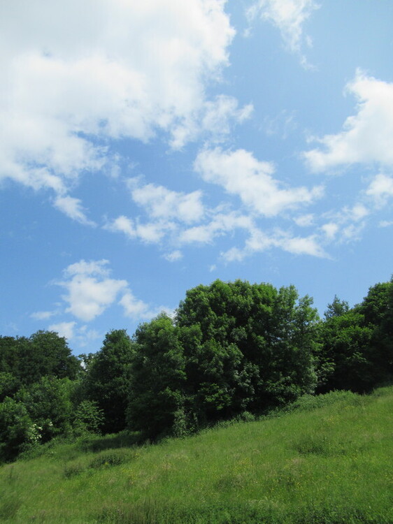 IMG_1454.thumb.JPG.b653eb8d41b4a293fc30b7ee9d2c42bf.JPG