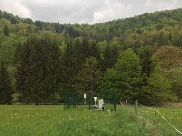 IMG_4326.jpeg.0c7f2c16a43f0f27a9d8e64b54cb0e58.jpeg
