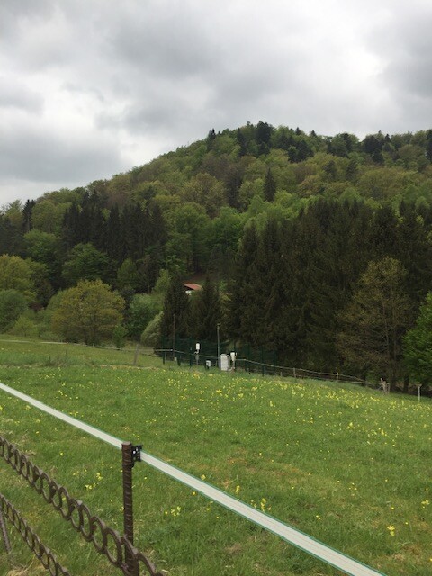 IMG_4330.jpeg.6dc9c19cb903a02af91b5ea74707d7d9.jpeg