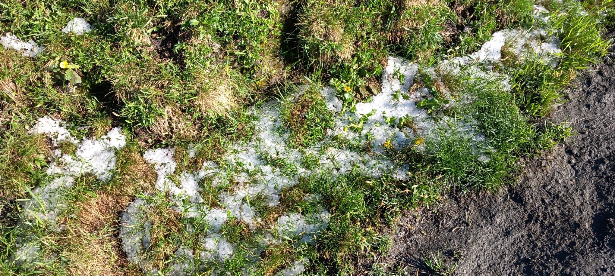 Printemps / été 2025 dans les Alpes