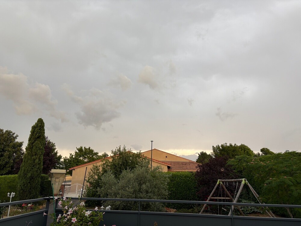 IMG_3206.thumb.jpeg.678f907f14ec1420cb23ca924ebc7c51.jpeg
