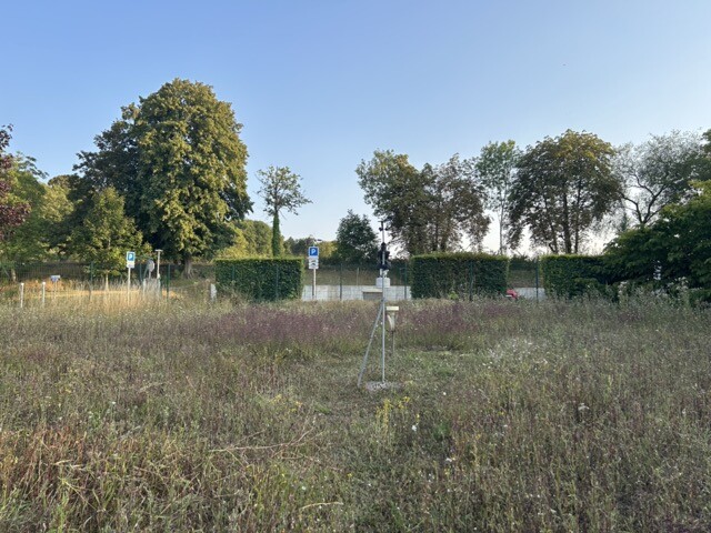 IMG_6951-Moyenne.jpeg.10b08770bd81d2ddefc433c088f340b2.jpeg
